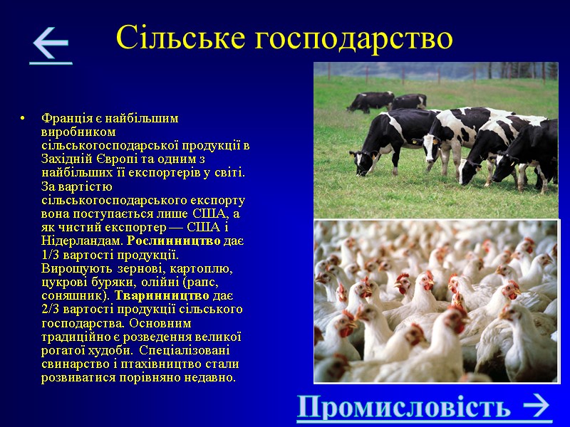 Сільське господарство Франція є найбільшим виробником сільськогосподарської продукції в Західній Європі та одним з